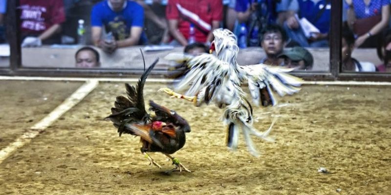 888b ﻿đăng nhập lô đề uy tín