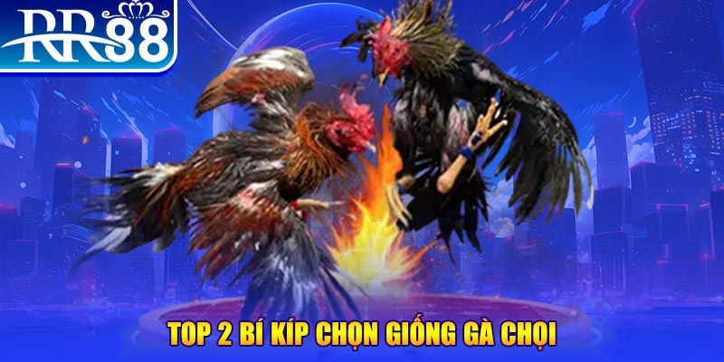 888b bắn cá h5
