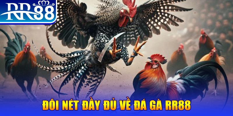 888b gà chọi hoà phong