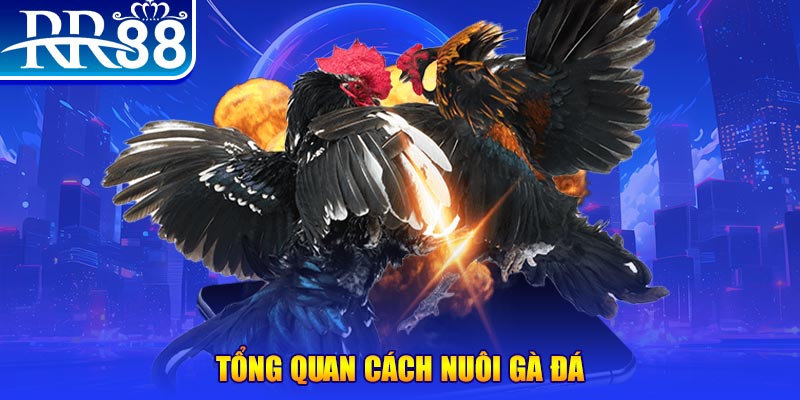 888b xổ số thứ ba