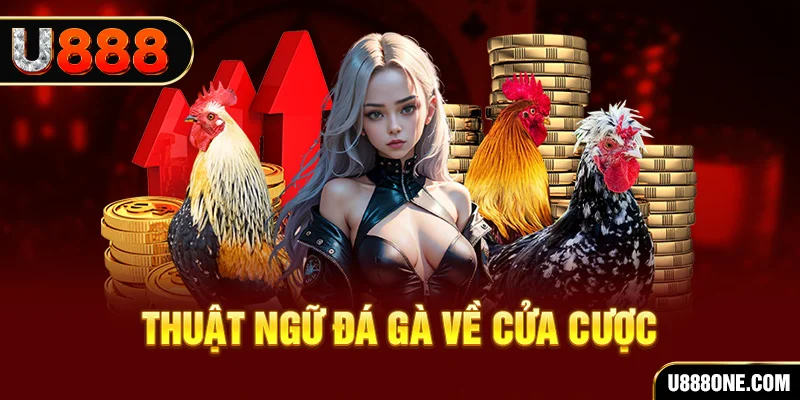 888b da ga 88