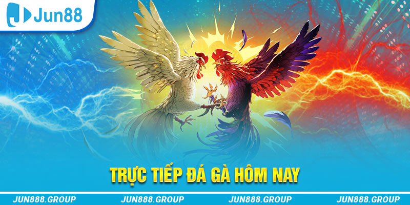 888b trực tiếp đá gà thomo