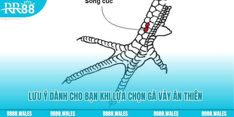 888b xổ số khánh hòa