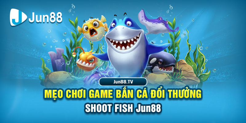 888b tải game đánh bài online về máy tính