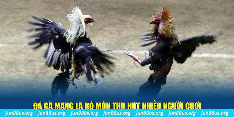 888b xổ số long an