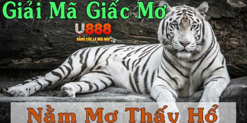 888b Bài Poker Joker