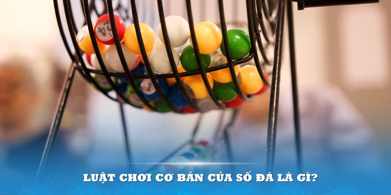 888b Đĩa màu ace