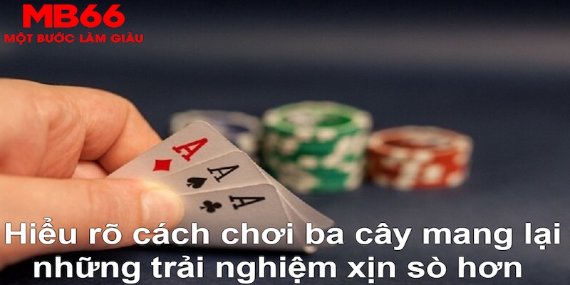 888b DB Trực Tuyến
