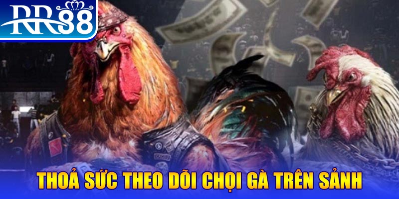 888b casino online là gì