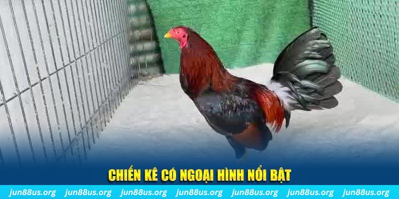 888b nhạc slot là gì